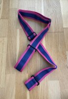 Leash blau pink