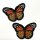 Butterflies 7cm orange gelb
