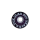 Wheels Fox Clas STD  65mm x 32mm 78A Purple